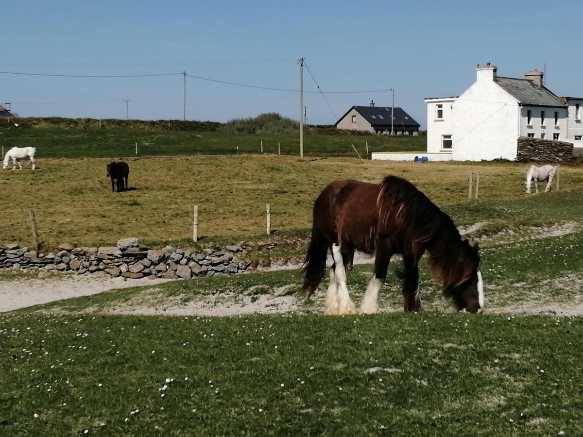 Home Comforts Castleisland Luaran gambar