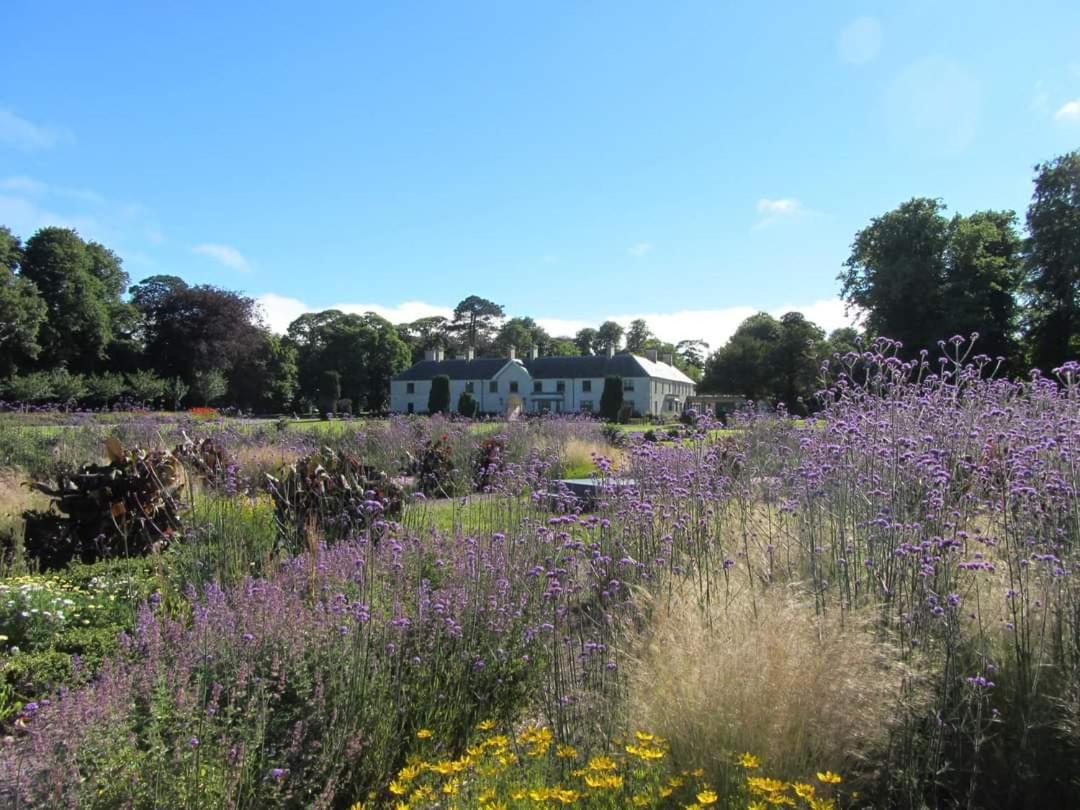Home Comforts Castleisland Luaran gambar